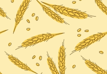 wat is volkoren en waarom is het gezond