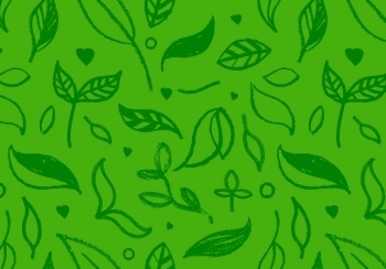 hoeveel-vezels-per-dag