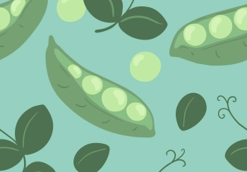 plantaardige eiwitten